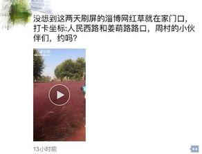 淄博网红爆料最新消息,揭秘城市新热点与幕后故事