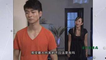 山东卫视道德与法治在线观看,探寻法治精神，弘扬道德风尚